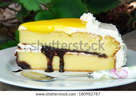 A piece of vanilla cake topping with orange,homemade style.