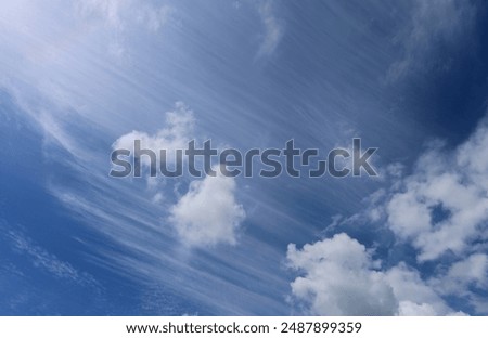 Similar – Image, Stock Photo Fair weather clouds above the treetops of a group of trees