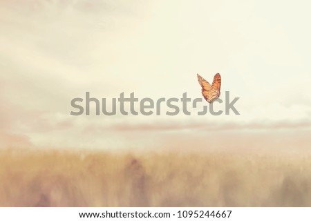 Similar – Image, Stock Photo Lightness // Flying free as a bird.