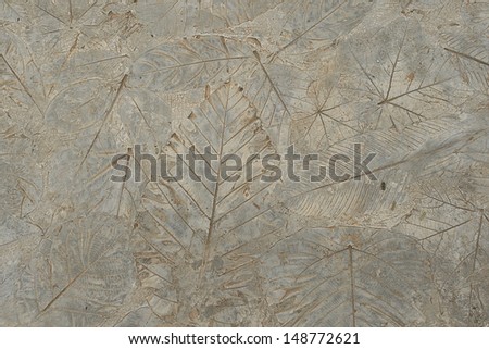 leaves on cement ground in natural tone