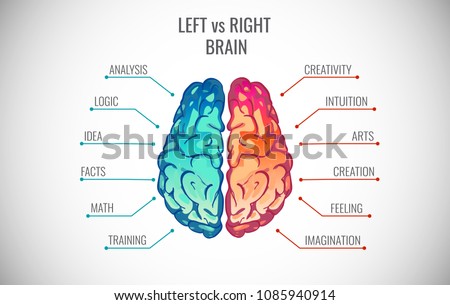 Left and right human brain concept. Creative part and logic part with social and business infographics vector illustration