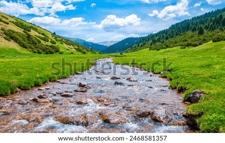 Similar – Foto Bild Bäche auf den Alpen Südtirols fünfzehn