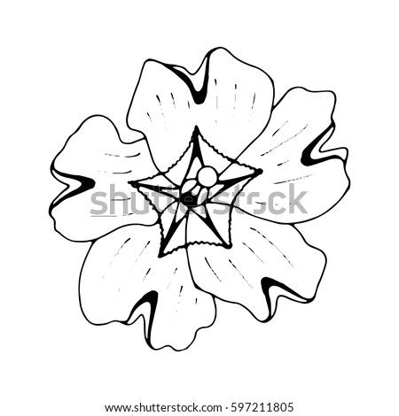 beautiful  Campanula alpina isolated. Hand-drawn spring flower.Coloring book page. design greeting card and invitation of the wedding, birthday, Valentine's Day, spring day, mother's day