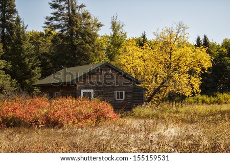 A hunting cabin in the woods surrounded by fall colored trees