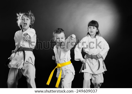 Group Kids Karate martial Arts