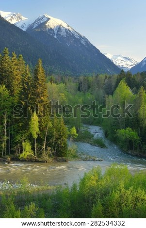 This is evening valley in Caucasus mountains in spring