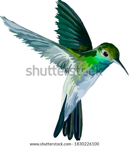 Similar – Image, Stock Photo hummingbird Small Bird