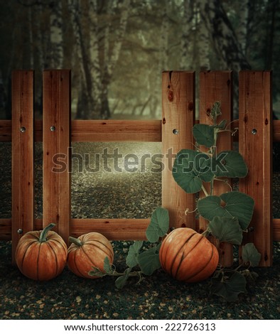Background for Halloween with pumpkins and an old fence in the forest