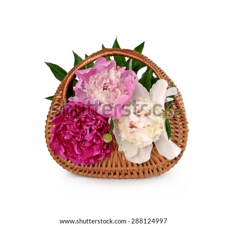 Wicker basket with a bouquet of peonies on a white background