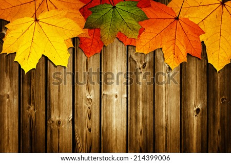 Similar – Image, Stock Photo Golden October