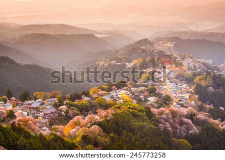 Yoshinoyama, Nara, Japan view of town and cherry trees during the spring season.