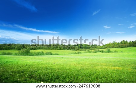 campo de grama e céu perfeito