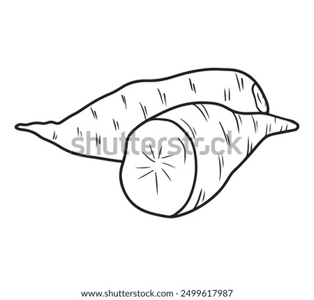 Whole and half sweet potato Ipomoea batatas unpeeled in black isolated on white background. Hand drawn vector sketch illustration in doodle engraved vintage line art style. Superfood, tasty vegetable.