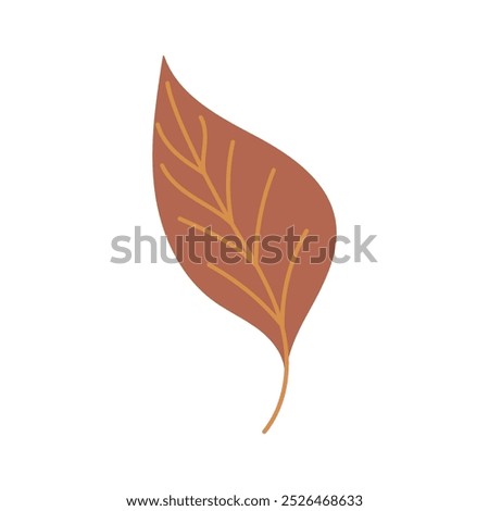 Beautiful brown falling leaf of laurel. beech, chestnut, alder tree isolated on white background. Hand drawn vector flat colored illustration. Autumn icon, symbol, foliage design, sticker