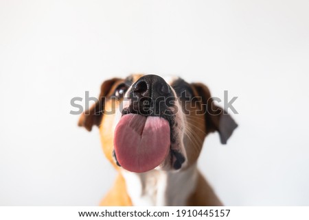 Shutterstock Puzzlepix