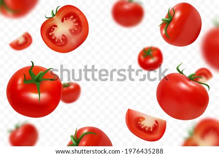 Falling fresh ripe tomatoes isolated on transparent background. Flying defocusing red tomato. Close-up juicy vegetables. Applicable for ketchup, juice advertising. Vector illustration.