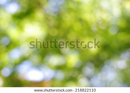 green background wallpaper nature texture bubble abstract