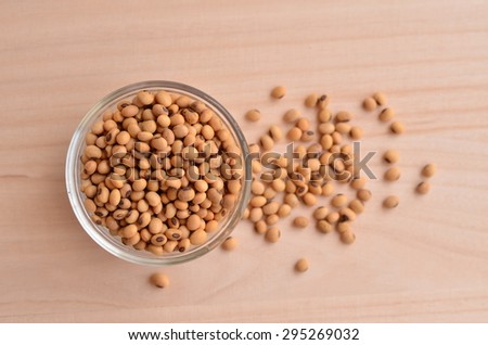 soybean soya white isolated soy food bean wall background seed nature organic healthy
