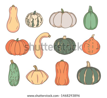 Similar – Image, Stock Photo Hokkaido Pumpkins