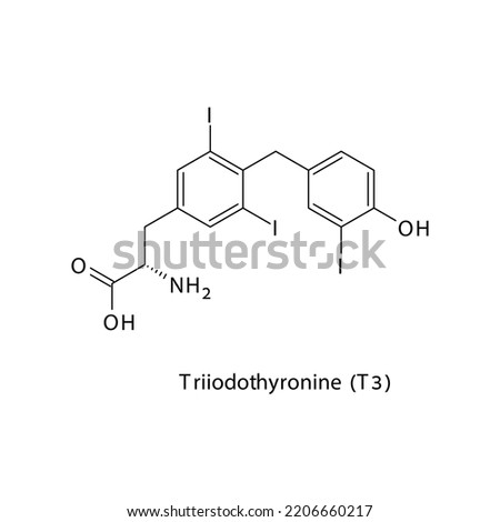 Triiodothyronine (T3) molecule flat skeletal structure, Thyroid hormone Vector illustration on white background.