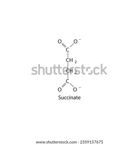 Succinate Dicarboxylic Acid - intermediate in the citric acid cycle Molecular structure skeletal formula on white background.