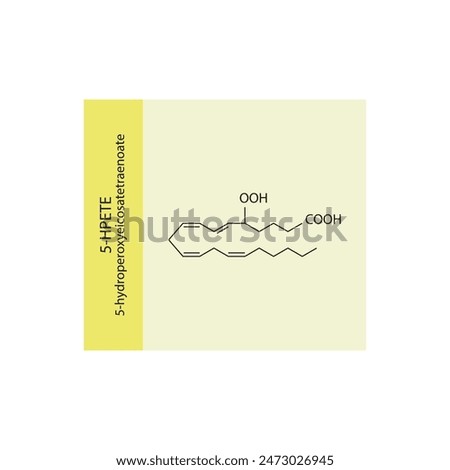 5HPETE, 5-hydroperoxyeicosatetraenoate skeletal structure diagram.prostanoid compound molecule scientific illustration on yellow background.