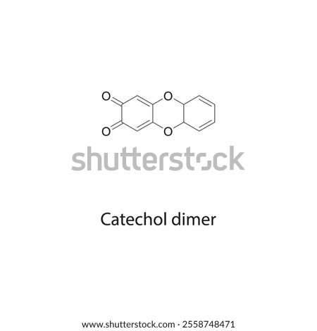 Catechol dimer skeletal structure diagram.organic compound molecule scientific illustration.