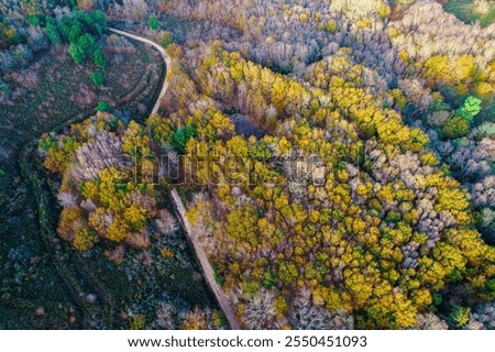 Image, Stock Photo sunshine stories drone