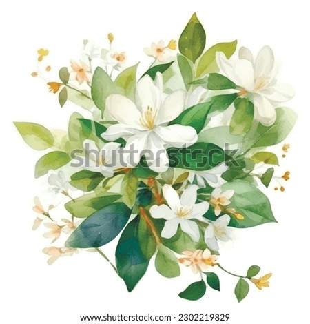 Watercolor beautiful blossom jasmine flowers pattern. white background. Hand drawn painted blooming jasmine branches, flowers, leaves. Modern artistic colorful drawing ornament.