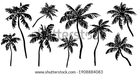 Tropical palm trees sketch set. Realistic black silhouettes of palm trees isolated on white  background. Vector illustration