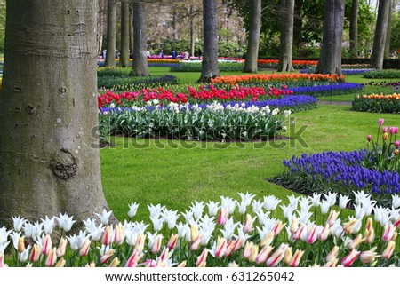 Keukenhof discount code From its charming cobbled streets to its vibrant art scene, the Dutch capital of Amsterdam offers tonnes of things to do. Made up of great museums, art galleries, quirky cafés, restaurants and epic clubs, Amsterdam is a brilliant destination.