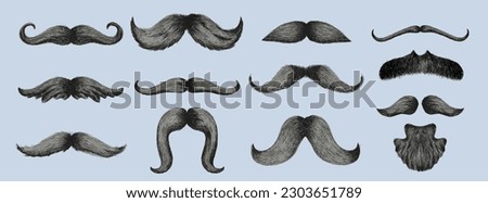 Big Set of Different styles of male realistic mustaches. Hand drawn Chevron, imperial, lampshade, painter brush, handlebar, classic relaxed, english, thick thin man mustaches. Vector illustration.