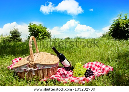 Outdoor picnic at sunny day.