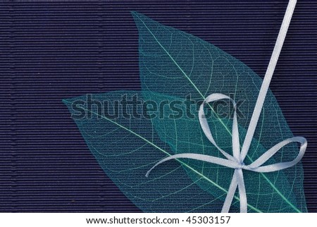Dried Leaf skeleton with gift ribbon on handmade paper