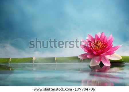 Bamboo Water