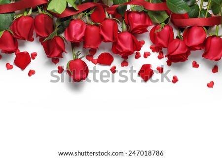 Roses and petals background. Roses and petals scattered on white  background, overhead view