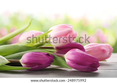 Bouquet Tulips