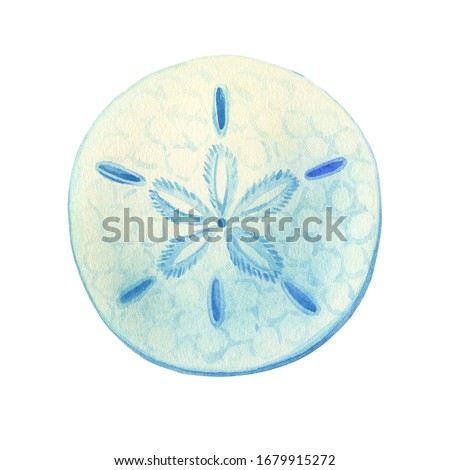 Illustrations of underwater life objects - blue sea shell sand dollar, marine design. Watercolor hand drawn painting illustration isolated on white background.