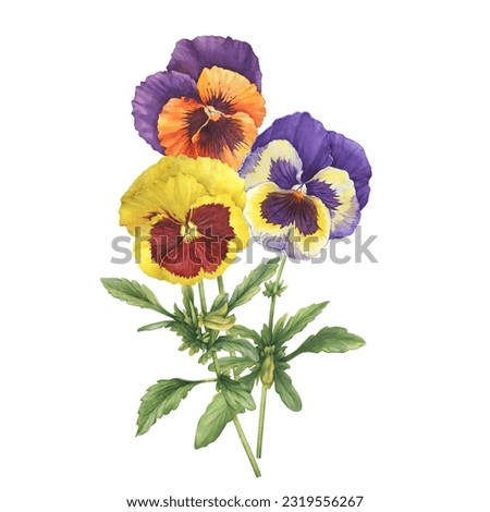 Similar – Image, Stock Photo Pansy flowers (heartsease) or viola tricolor violet yellow pansies background pattern. Field of colorful pansies with blue yellow, purple flowers. Wild spring heartsease flowers on flowerbed