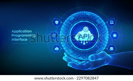 API. Application Programming Interface in the shape of sphere with hexagon grid pattern in wireframe hand. Software development tool, cloud computing technology concept. Vector illustration.