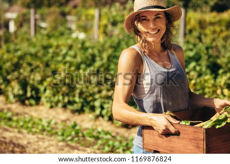 Similar – Image, Stock Photo Young woman harvesting fresh courgettes from the garden