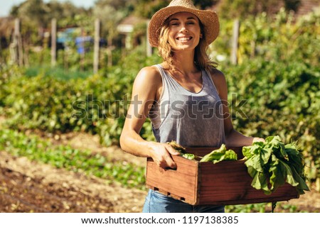 Similar – Image, Stock Photo Woman picking the vegetables in a garden