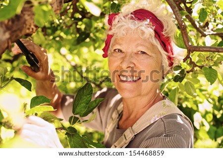 Happy elder woman pruning tree in yard - Senior female gardener working in backyard garden