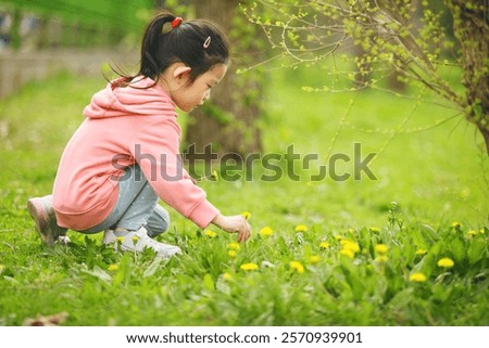 Similar – Foto Bild Nettes Mädchen Kommissionierung Frühling wilden Gänseblümchen