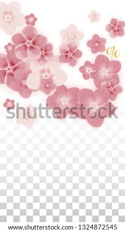 Vector Spring or Summer Sale Background with Flowers and Percent for  Cards Design. Good for Special Hot Holiday Discount Offer, Black Friday, Fashion Promotion Action. Romantic Sakura Illustration