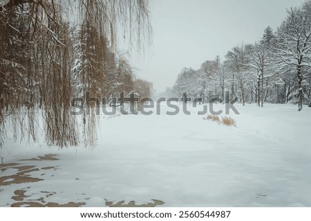 Similar – Image, Stock Photo At the frozen canal II