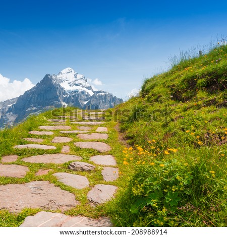 Mountain road paved with cobbles, stones Long the towpath grow wild meadow flowers Deep blue sky over the Alps.