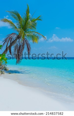 Panorama of a tropical island with turquoise lagoon, white sand beach and palm trees. Bright blue sky with clouds low over the ocean.