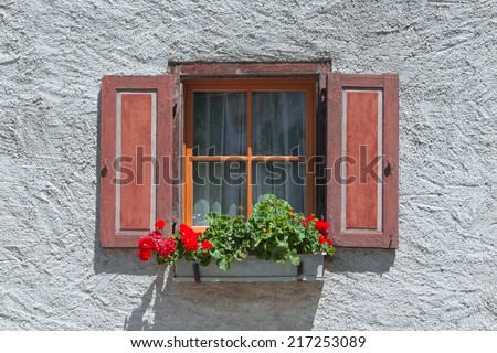 Window with flower pot on ledge in a village, eastern of Switzerland