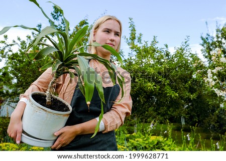 Gardening at home  garden. Girl transplanting green plants in the home garden. Transplanting plants in the vegetable garden with her son. Home gardening, garden room, gardening, plant room. Slow life.